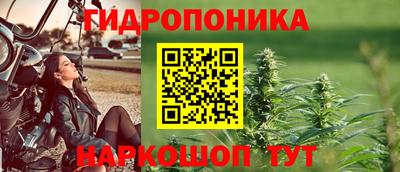 кокс Шебекино