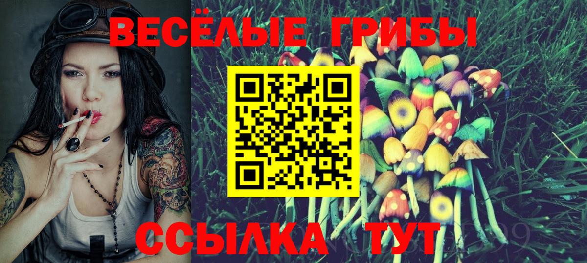 Аша  закладки  Вход с VPN  Галлюциногенные грибы MAGIC MUSHROOMS 