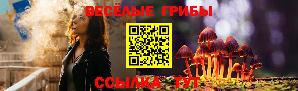 Галлюциногенные грибы GOLDEN TEACHER Аша